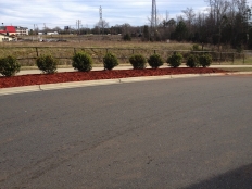 Cont Landscaping and Grading_5.jpg