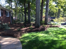 Landscaping, Fencing and Lawn Care_6.jpg