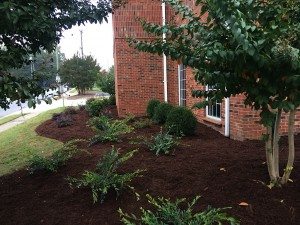 Lawn Care and Landscaping_10